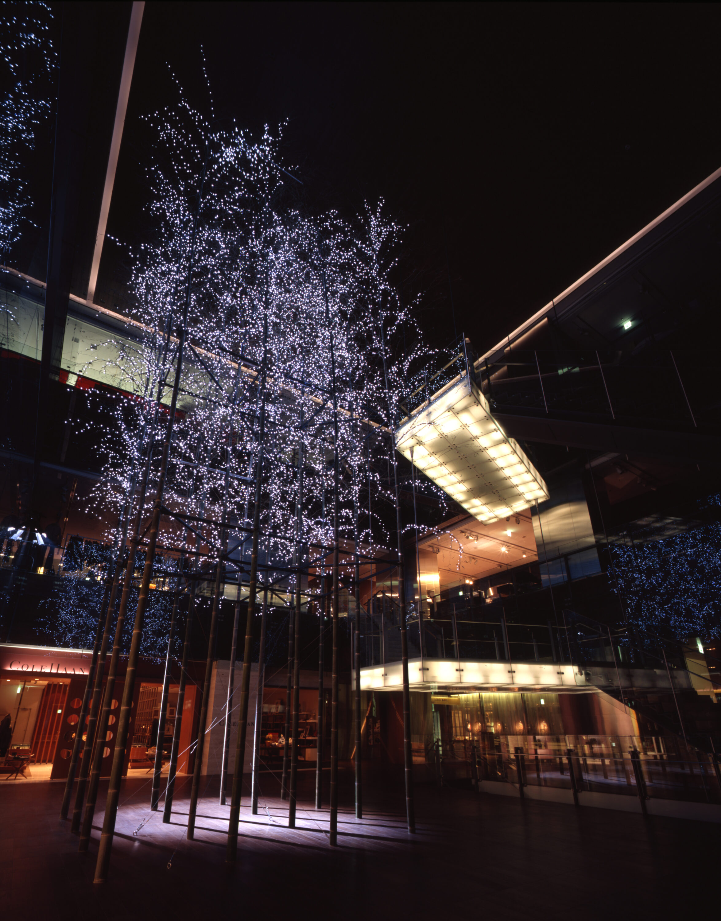 六本木ヒルズ　けやき坂クリスマスイルミネーション Snow & Blue 2003